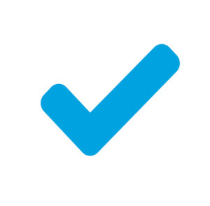 Check mark - Vector clean blue icon48