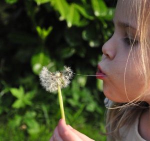 child dandelion84