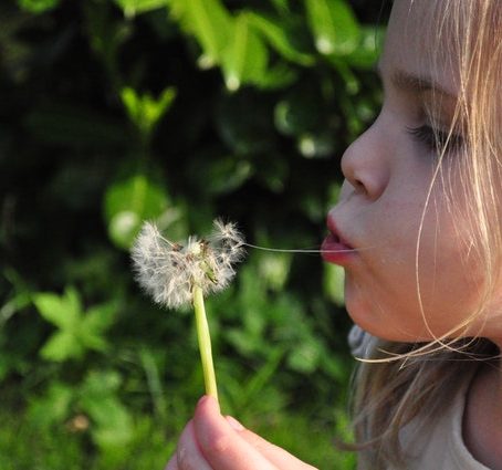 child dandelion84